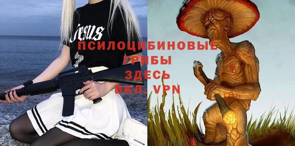 ALPHA PVP Козельск
