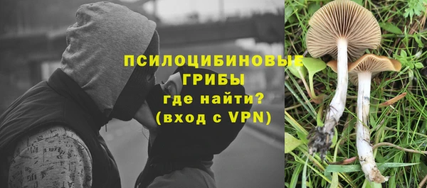 ALPHA PVP Козельск