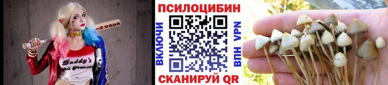 Купить закладки  Зея  Псилоцибиновые грибы Magic Shrooms 